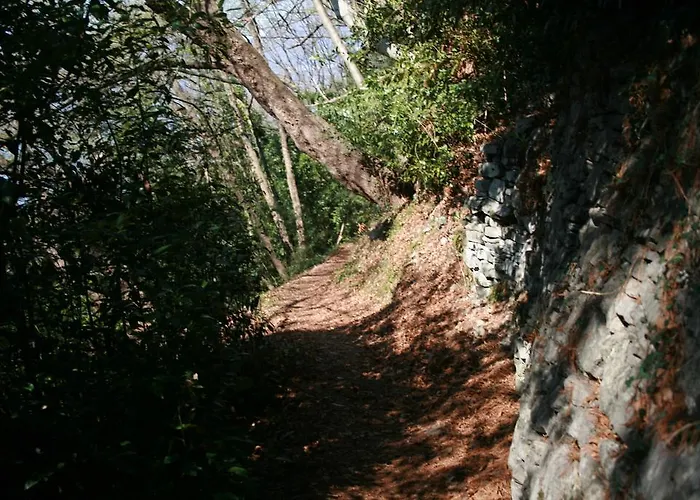 伊尔博勒蒂诺瓦勒纳住宿加早餐旅馆 3* 瓦伦纳